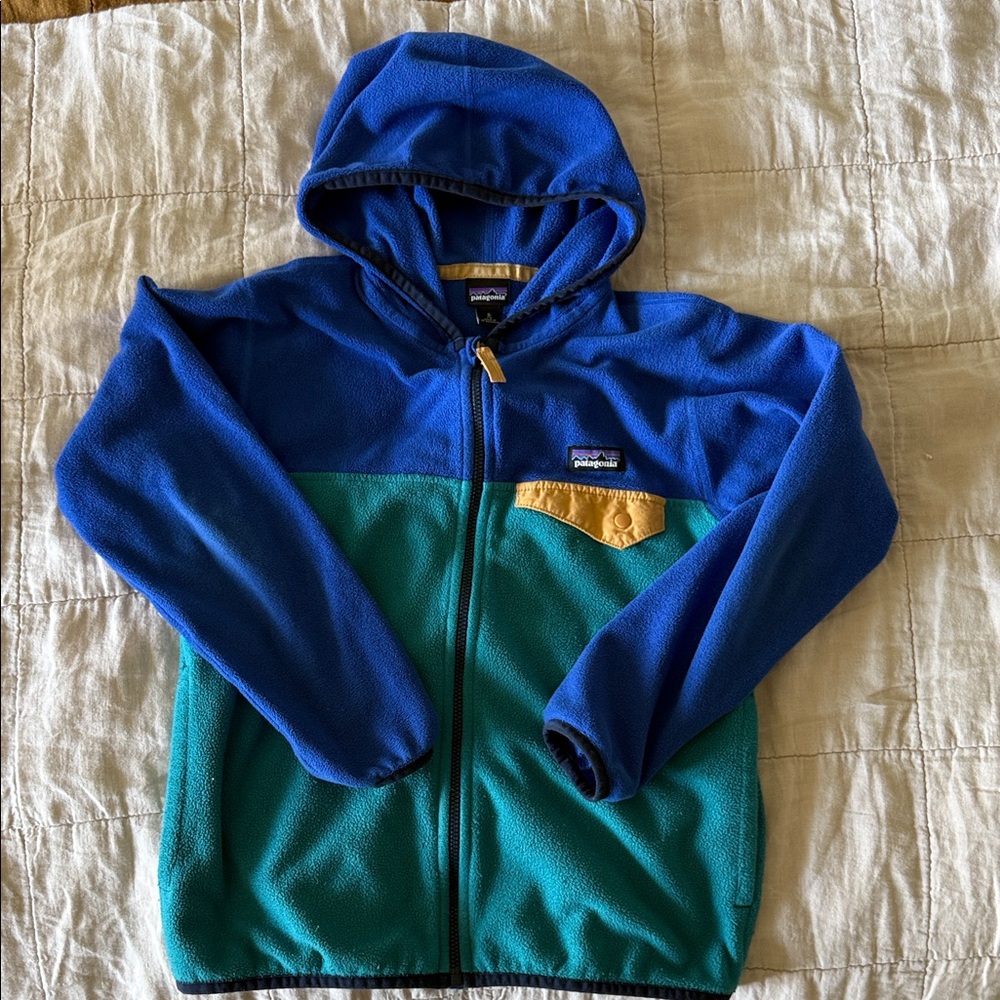 Patagonia Blue and teal fleece hoodie